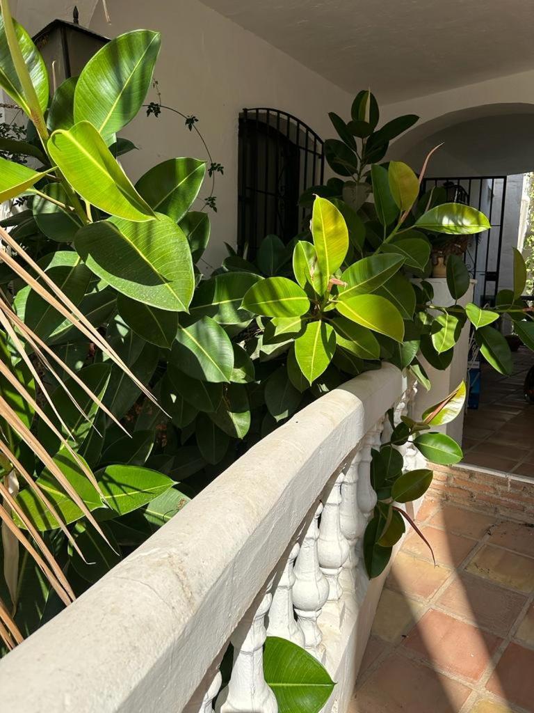 Monte Cielo Apartment Nerja Luaran gambar
